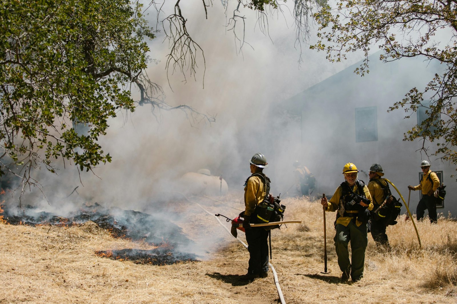 Firefighters in protective gear fighting a grass fire in a forest area with visible smoke.